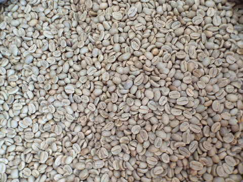 Uganda Organic Sipi Falls green coffee beans xx