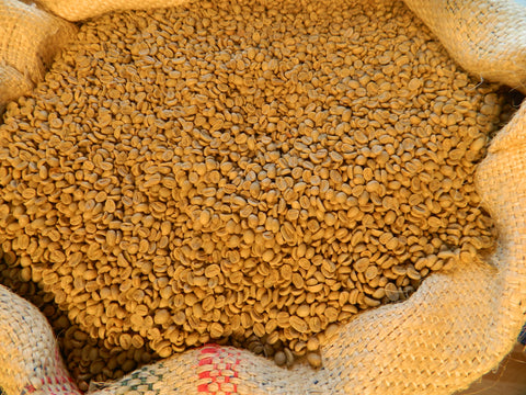 Organic Fair Trade Colombia Sierra Nevada Unroasted Coffee Beans f
