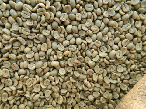Costa Rica Coopetarrazu green coffee beans close 15