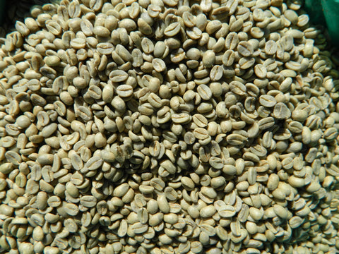 Ecuador Maputo Hakuna Matata Green Coffee Beans Photo