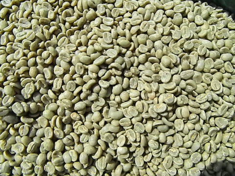 Kenya Nyeri AB+ green coffee beans y