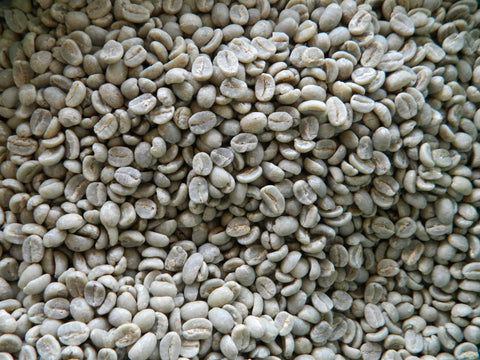 Kenya AA Top raw coffee close up 6 15