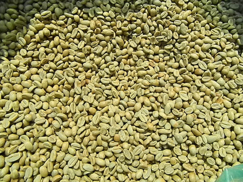 Ethiopia Sidamo Organic Shenta Wane Natural Green Coffee Beans