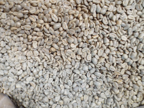 Peru Organic Norandino FW green coffee beans 4c