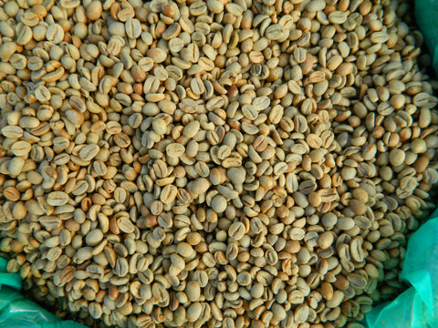 Bali Organic Kintamani Natural Arabica Raw Coffee Beans