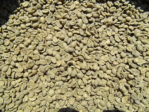 Organic Decaf Timor green coffee beans FF