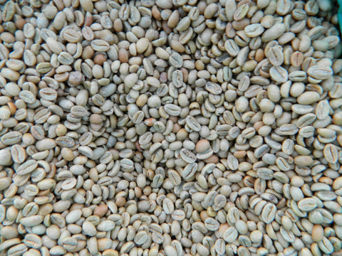 Organic Fair Trade Ethiopia ADADO green coffee beans xx