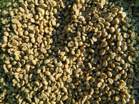 Organic Ethiopia Konga Coop Washed green coffee beans 2