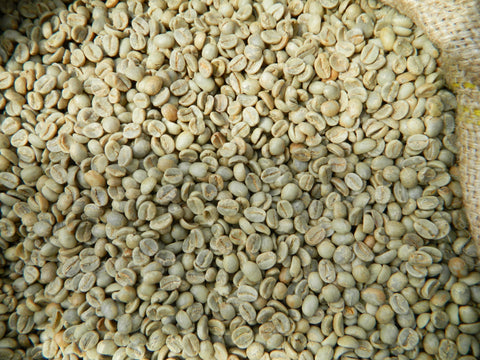 India Mysore Nugets Extra Bold green coffee beans r