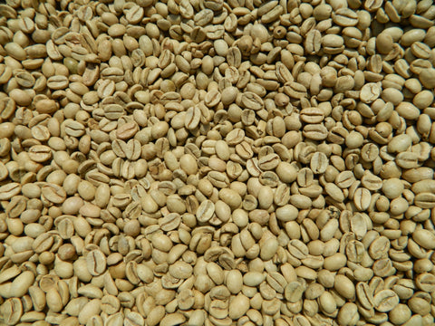 India Arabica Monsooned Malabar unroasted coffee K