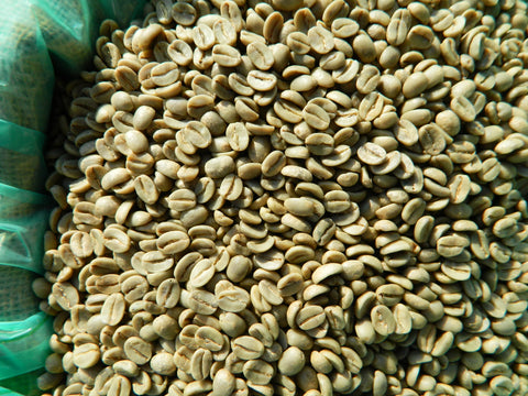 Kona Extra Fancy grade HRC Raw Coffee Beans h Lions Gate Farm