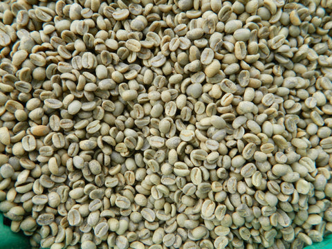 Bolivian Organic Bio Arabica Unroasted Coffee Beans f