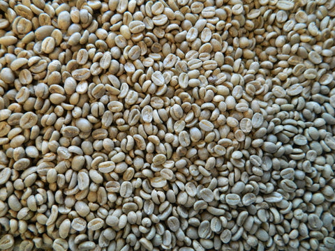 Colombia Tolima Organic green coffee beans E