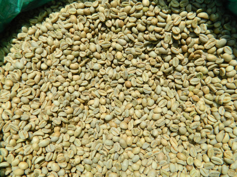 Ethiopia Organic FT Sidamo Coffee H