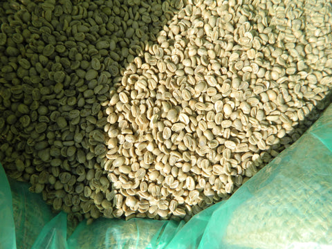 Haiti Blue Mountain Organic Green Coffee Beans n