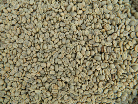 Honduras FTO RAOS Marcala green coffee beans L