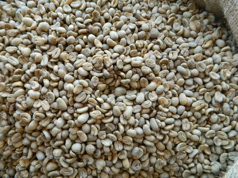 Sulawesi Kalossi unroasted coffee C