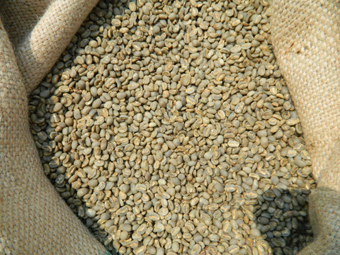 Organic Sumatra Adsenia raw coffee 15