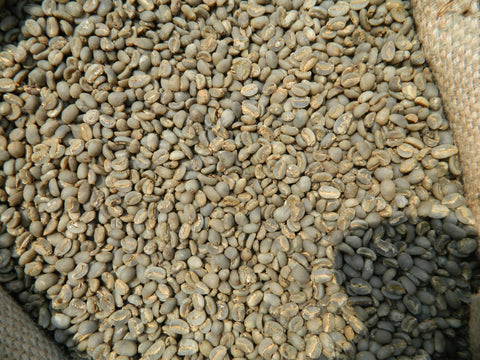 Organic green coffee beans Sumatra Adsenia 15